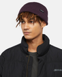 The Dickies Mens Woodworth Beanie in Plum