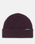 The Dickies Mens Woodworth Beanie in Plum