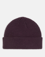 The Dickies Mens Woodworth Beanie in Plum