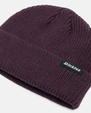 The Dickies Mens Woodworth Beanie in Plum