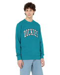 The Dickies Mens Aitkin Sweatshirt in Deep Lake