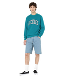 The Dickies Mens Aitkin Sweatshirt in Deep Lake