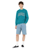 The Dickies Mens Aitkin Sweatshirt in Deep Lake