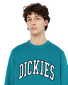 The Dickies Mens Aitkin Sweatshirt in Deep Lake