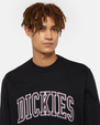 The Dickies Mens Aitkin Sweatshirt in Black & Plum