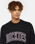 The Dickies Mens Aitkin Sweatshirt in Black & Plum