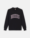 The Dickies Mens Aitkin Sweatshirt in Black & Plum