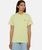 The Dickies Womens Mapleton T-Shirt in Pale Green