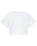 The Dickies Womens Porterdale Crop Top in White