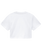 The Dickies Womens Porterdale Crop Top in White