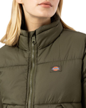 The Dickies Womens Alatna Jacket in Military Green