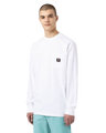 The Dickies Mens Mount Vista Long Sleeved  T-Shirt in White