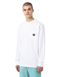 The Dickies Mens Mount Vista Long Sleeved  T-Shirt in White