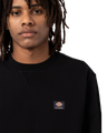 The Dickies Mens Mount Vista Sweatshirt in Black