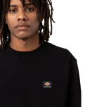 The Dickies Mens Mount Vista Sweatshirt in Black