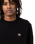 The Dickies Mens Mount Vista Sweatshirt in Black