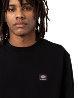 The Dickies Mens Mount Vista Sweatshirt in Black