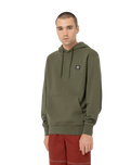 The Dickies Mens Mount Vista Hoodie in Dark Olive