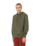 The Dickies Mens Mount Vista Hoodie in Dark Olive