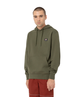 The Dickies Mens Mount Vista Hoodie in Dark Olive