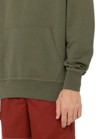 The Dickies Mens Mount Vista Hoodie in Dark Olive