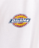 The Dickies Mens Icon Washed Hoodie in Ecru