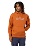 The Dickies Mens Union Springs Hoodie in Gingerbread