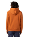 The Dickies Mens Union Springs Hoodie in Gingerbread