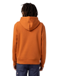 The Dickies Mens Union Springs Hoodie in Gingerbread