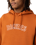 The Dickies Mens Union Springs Hoodie in Gingerbread