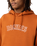 The Dickies Mens Union Springs Hoodie in Gingerbread