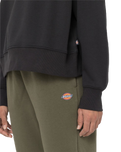 The Dickies Womens Summerdale Sweatshirt in Black