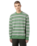 The Dickies Mens Westover Stripe Sweatshirt in Dark Ivy