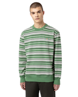 The Dickies Mens Westover Stripe Sweatshirt in Dark Ivy