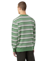 The Dickies Mens Westover Stripe Sweatshirt in Dark Ivy