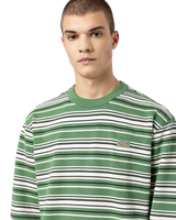 The Dickies Mens Westover Stripe Sweatshirt in Dark Ivy