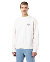 The Dickies Mens Icon Washed Sweatshirt in Ecru