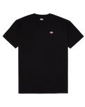 The Dickies Womens Mapleton Tee Dress in Black