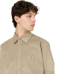 The Dickies Mens Wilsonville Shirt in Desert Sand