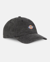 The Dickies Mens Hardwick Duck Canvas Cap in Black