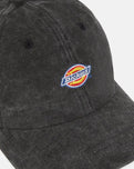 The Dickies Mens Hardwick Duck Canvas Cap in Black