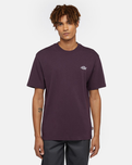 The Dickies Mens Summerdale T-Shirt in Plum Perfect