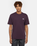 The Dickies Mens Summerdale T-Shirt in Plum Perfect