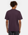 The Dickies Mens Summerdale T-Shirt in Plum Perfect