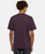 The Dickies Mens Summerdale T-Shirt in Plum Perfect