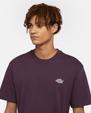 The Dickies Mens Summerdale T-Shirt in Plum Perfect