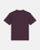 The Dickies Mens Summerdale T-Shirt in Plum Perfect