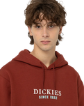 The Dickies Mens Park Hoodie in Fired Brick