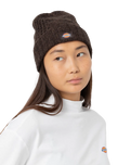 The Dickies Womens Hoxie Beanie in Java