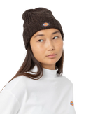 The Dickies Womens Hoxie Beanie in Java